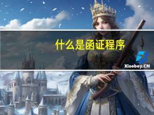 什么是函证程序
