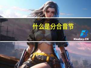 什么是分合音节