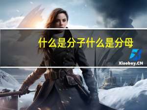 什么是分子什么是分母