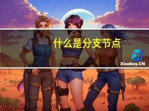 什么是分支节点