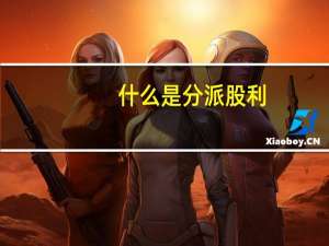 什么是分派股利