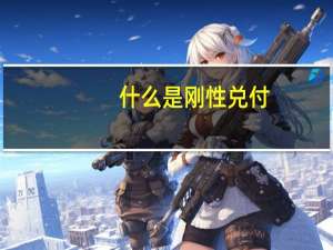 什么是刚性兑付