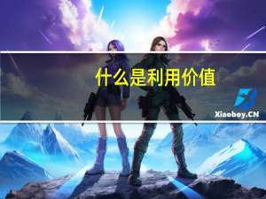 什么是利用价值