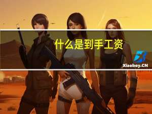 什么是到手工资