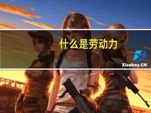 什么是劳动力