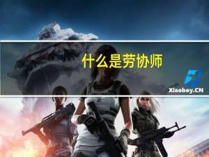 什么是劳协师
