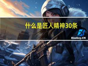 什么是匠人精神30条（什么是匠人精神）