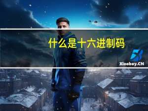 什么是十六进制码