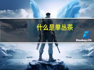 什么是单丛茶