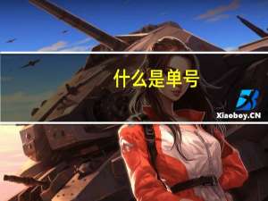 什么是单号
