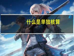 什么是单独核算