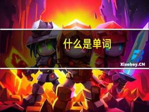 什么是单词