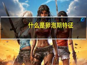 什么是卵泡期特征（什么是卵泡期）