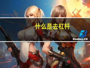 什么是去杠杆