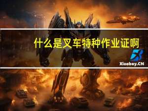什么是叉车特种作业证啊