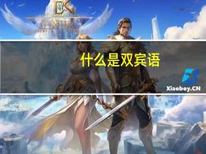 什么是双宾语