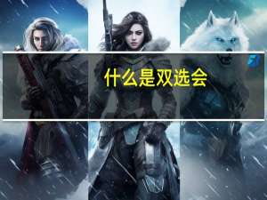 什么是双选会