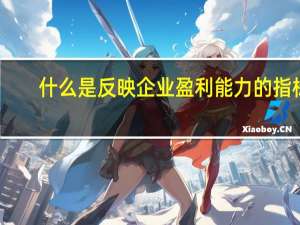 什么是反映企业盈利能力的指标