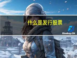 什么是发行股票