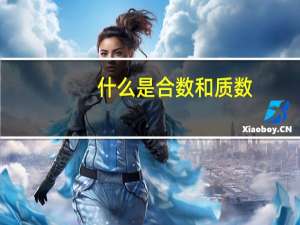 什么是合数和质数