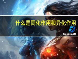 什么是同化作用和异化作用