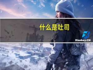 什么是吐司