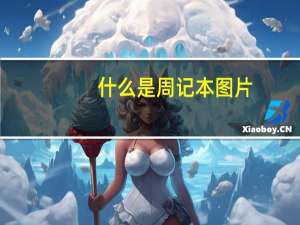 什么是周记本图片（什么是周记）