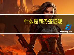 什么是商务签证呢