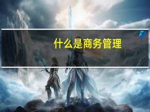 什么是商务管理