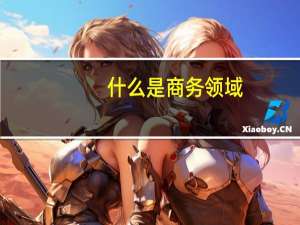 什么是商务领域