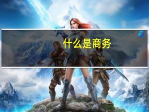 什么是商务