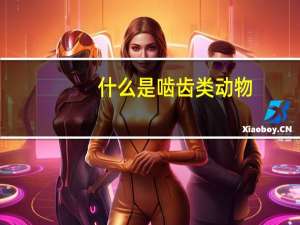 什么是啮齿类动物