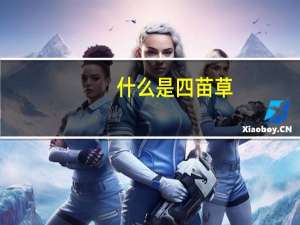 什么是四苗草