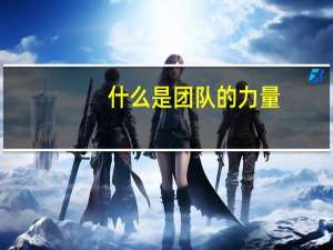 什么是团队的力量