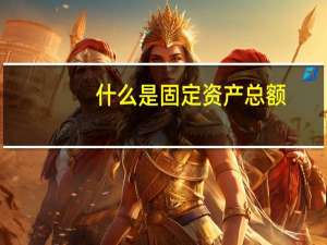 什么是固定资产总额
