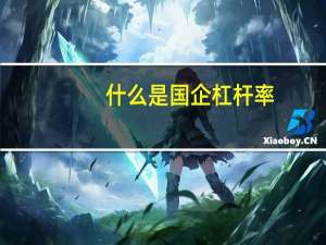什么是国企杠杆率