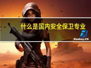 什么是国内安全保卫专业