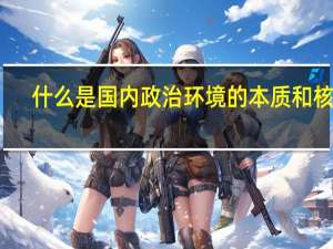 什么是国内政治环境的本质和核心