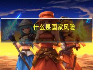 什么是国家风险