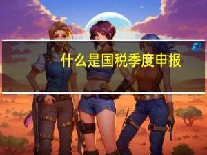 什么是国税季度申报