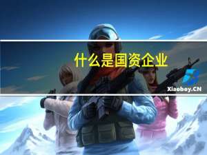 什么是国资企业