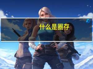 什么是圈存