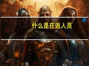 什么是在逃人员