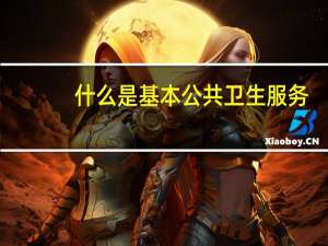 什么是基本公共卫生服务