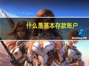 什么是基本存款账户