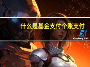 什么是基金支付个账支付
