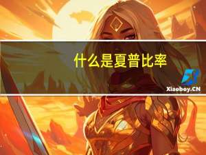 什么是夏普比率