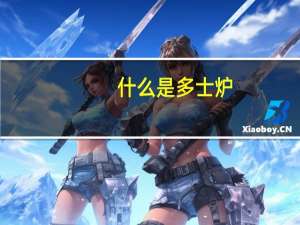 什么是多士炉