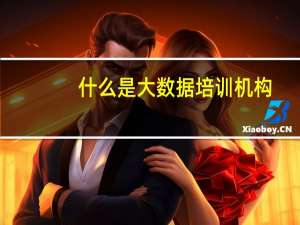 什么是大数据培训机构