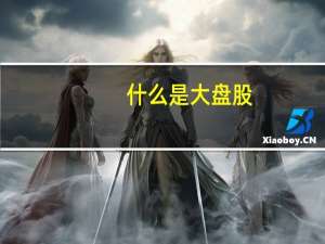 什么是大盘股？